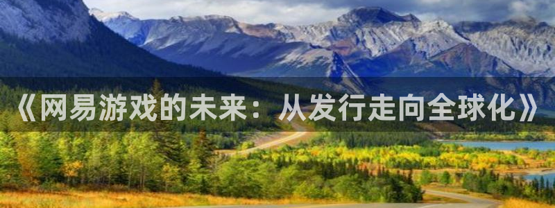 bg大游官网登录注册：《网易游戏的未来：从发行走向全球化》