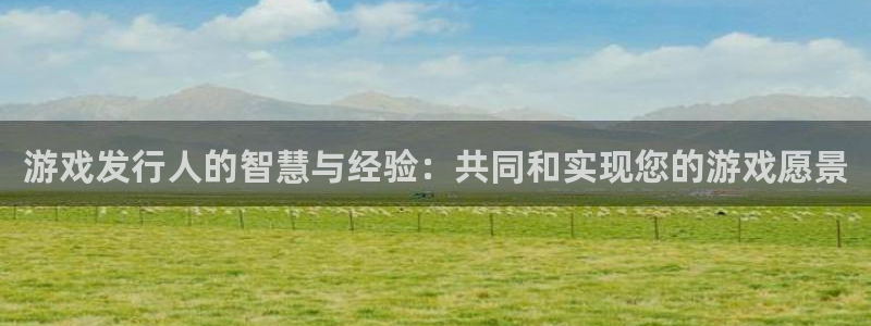 bg大游官网注册方法是什么软件：游戏发行人的智慧与经验：共同和实现您的游戏愿景