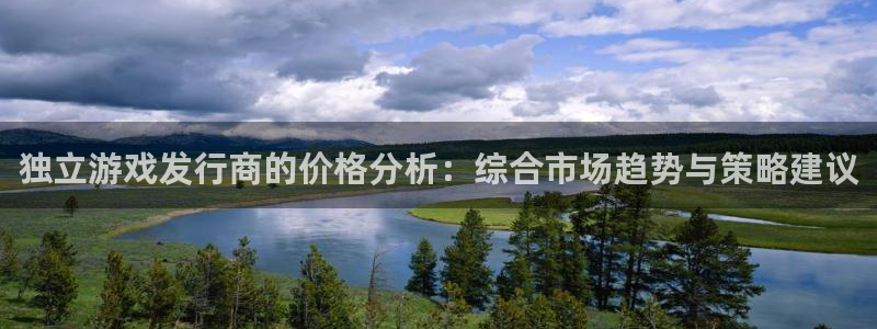 bg大游子怎么来的：独立游戏发行商的价格分析：综合市场趋势与策略建议