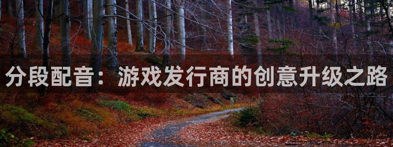 bg大游官网挂机项目怎么样可靠吗：分段配音：游戏发行商的创意升级之路