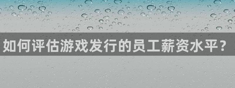 bg大游官网注册平台怎么样：如何评估游戏发行的员工薪资水平？