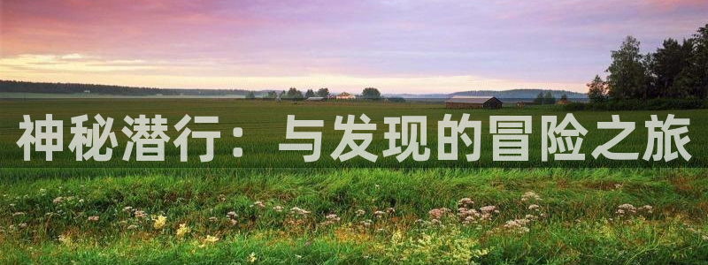 bg大游官网平台代理条件怎么样：神秘潜行：与发现的冒险之旅