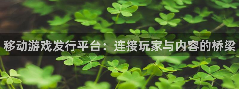bg大游官网登录注册：移动游戏发行平台：连接玩家与内容的桥梁