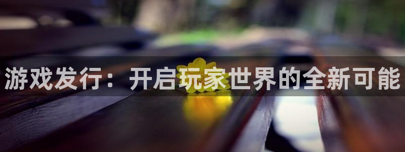 bg大游官网注册平台是什么：游戏发行：开启玩家世界的全新可能