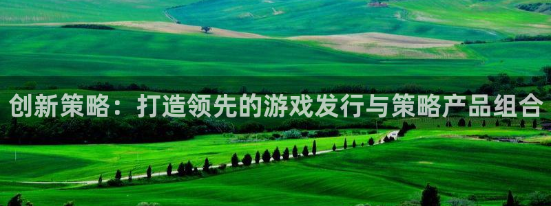 bg大游军团是哪个国家队：创新策略：打造领先的游戏发行与策略产品组合