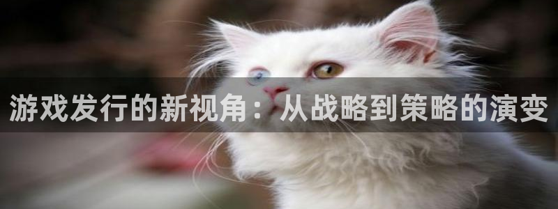 bg大游官网注册地址在哪里查询：游戏发行的新视角：从战略到策略的演变