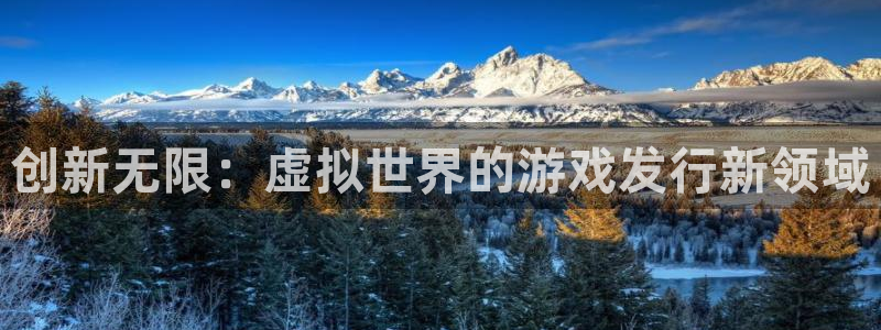 江苏bg大游智得新材料：创新无限：虚拟世界的游戏发行新领域