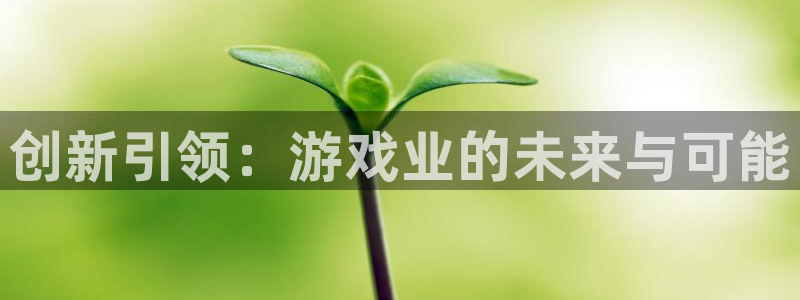 bg大游官网登录注册账号失败怎么回事：创新引领：游戏业的未来与可能