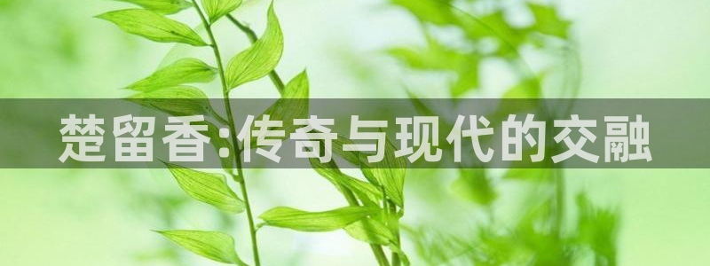 bg大游子上市了吗：楚留香:传奇与现代的交融