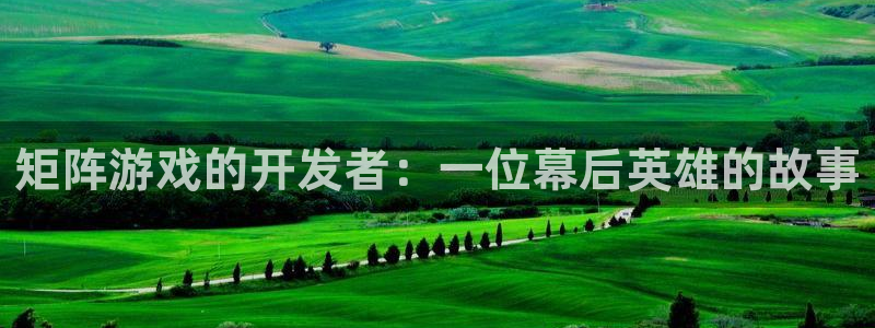 bg大游官网注册平台官网下载：矩阵游戏的开发者：一位幕后英雄的故事