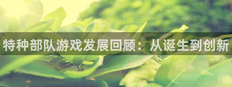 bg大游官网注册平台是什么：特种部队游戏发展回顾：从诞生到创新